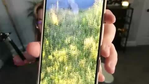 Bri online show from November 2025 03:34:01 AM