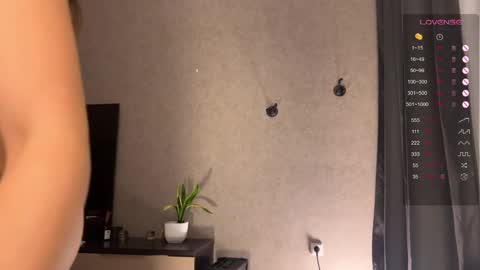 Snapshot of quintessencel chatting on March 2025 05:47:01 PM Next stream December 1 FANSLY Loxrye online show from March 2025 05:47:01 PM