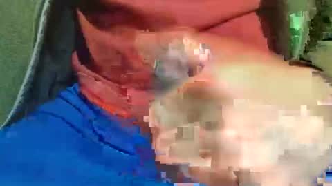 Raccoon68 online show from May 2026 07:51:02 PM