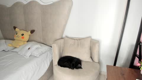 natalia  -  online show from December 2024 08:12:01 AM