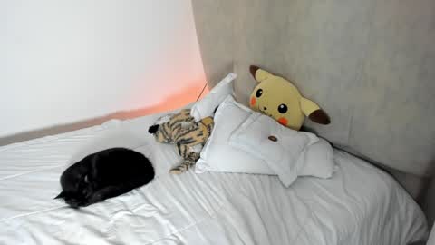 natalia  -  online show from January 2025 08:10:02 AM