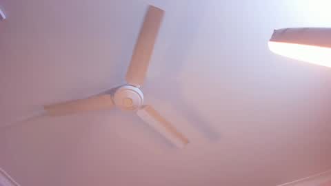 Rachel online show from January 2025 11:14:01 AM