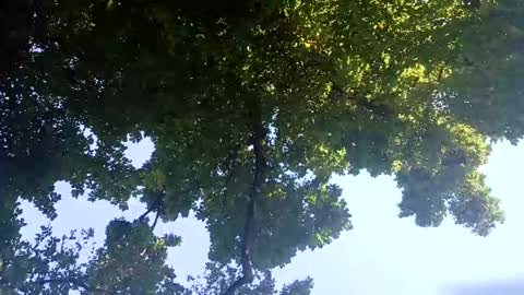 Bigthickdickinvic online show from February 2025 06:26:02 AM