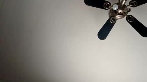 randallcody15 online show from January 2025 09:11:02 PM