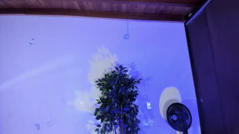 randy online show from November 2025 07:17:01 PM