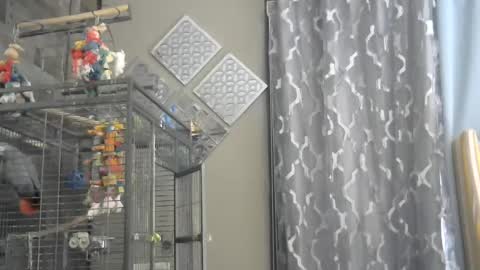 Randy8inbater online show from December 2024 09:26:01 PM