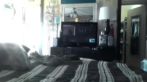 Randy8inbater online show from December 2024 06:17:01 PM