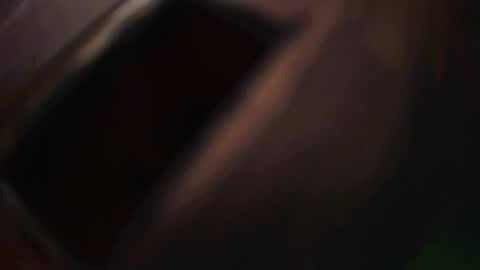 rarvet online show from December 2025 12:48:01 AM