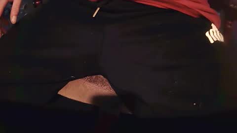 rarvet online show from April 2026 09:01:01 AM