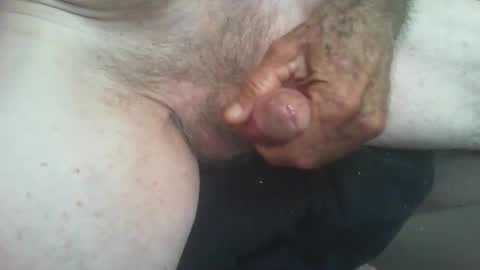 rattcatt online show from November 2025 10:59:02 AM