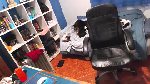 Snapshot of ravingr3d3 chatting on February 2026 11:25:01 PM ravingr3d3 online show from February 2026 11:25:01 PM