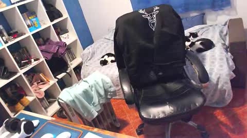 Snapshot of ravingr3d3 chatting on February 2026 12:10:01 PM ravingr3d3 online show from February 2026 12:10:01 PM