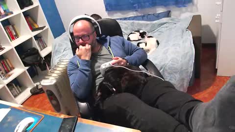 Snapshot of ravingr3d3 chatting on February 2026 10:48:02 PM ravingr3d3 online show from February 2026 10:48:02 PM