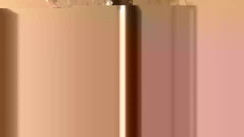 Snapshot of rawdogchewdog chatting on November 2025 02:34:02 AM Mountain Man online show from November 2025 02:34:02 AM