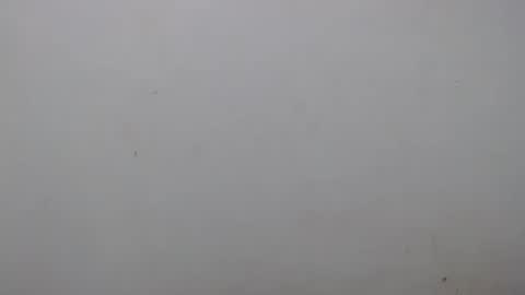 Ray  online show from February 2025 02:16:01 AM