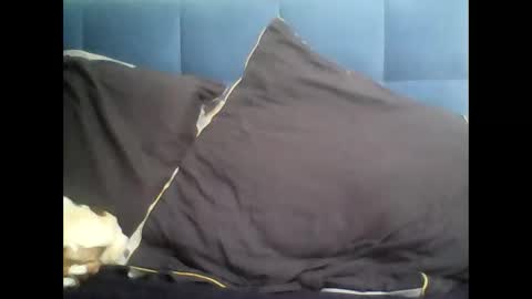 rayday_ online show from March 2025 02:10:02 PM