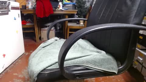 Ray online show from December 2024 03:22:02 PM