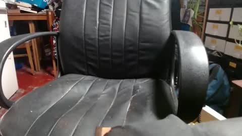 Ray online show from November 2025 12:05:01 AM