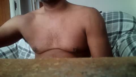 readymade1384553 online show from November 2025 02:09:02 PM