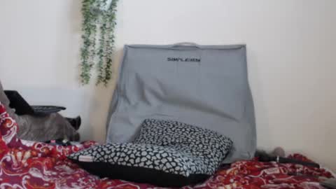 Snapshot of real_36_dd chatting on February 2025 04:15:01 PM Fannie online show from February 2025 04:15:01 PM