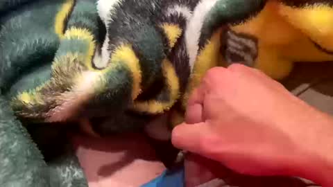 realbigload77 online show from October 2025 02:55:02 AM