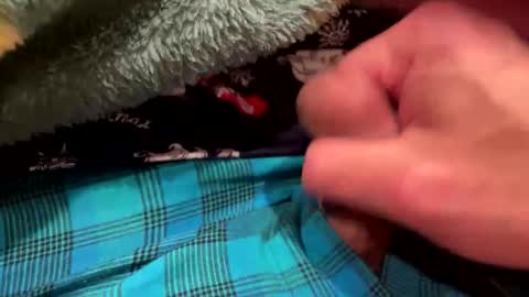 realbigload77 online show from December 2025 03:26:02 AM