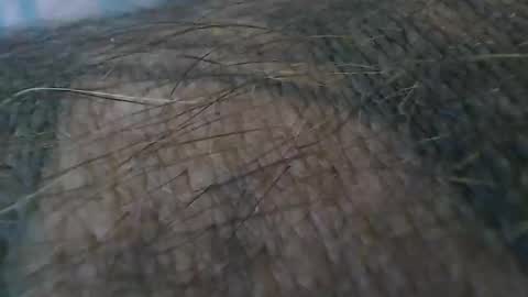 Snapshot of realrubpirate chatting on October 2025 09:21:02 AM realrubpirate online show from October 2025 09:21:02 AM