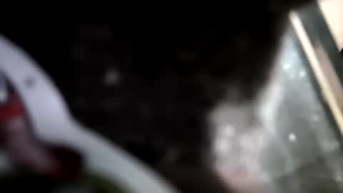 reba21 online show from February 2026 11:58:02 PM