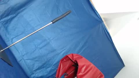 Rebeccalachaude online show from January 2025 08:22:01 PM