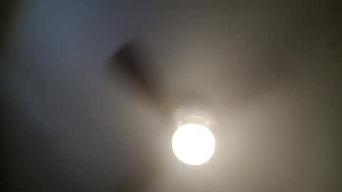 red24devils online show from January 2025 05:44:01 PM