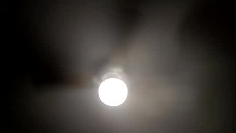 red24devils online show from January 2025 05:29:02 AM