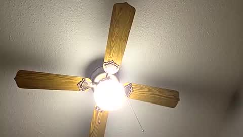 red24devils online show from September 2025 12:11:01 AM