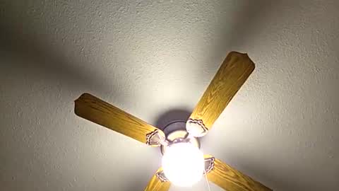 red24devils online show from February 2026 08:07:02 PM