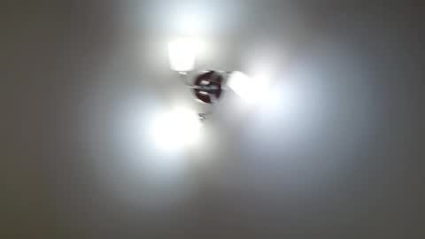 Lisa online show from February 2026 01:17:01 PM