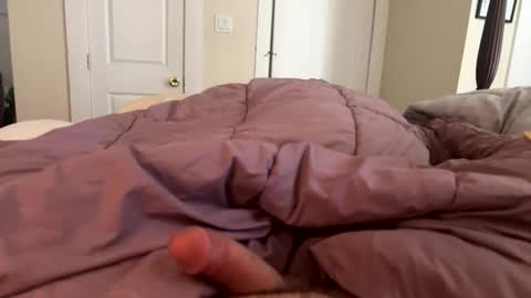 reddy4round4 online show from February 2026 07:18:01 PM