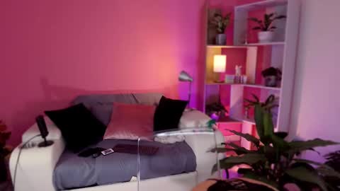 Snapshot of redjasmine_ chatting on February 2025 11:46:02 PM Red Jasmine online show from February 2025 11:46:02 PM