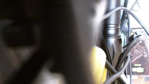 redorchard online show from February 2025 06:04:02 PM