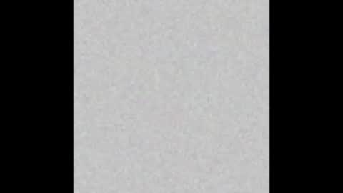 HAZEL online show from March 2025 11:48:01 AM