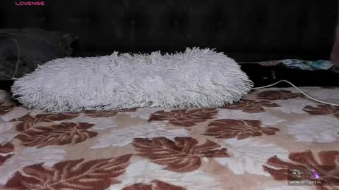 reyna77 online show from May 2026 07:42:01 PM