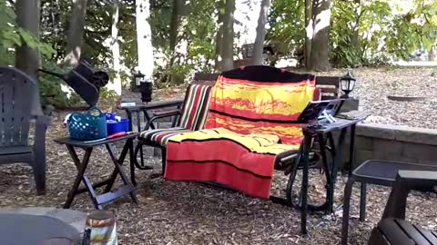 PINK HOLE TWINK online show from September 2025 08:52:02 PM