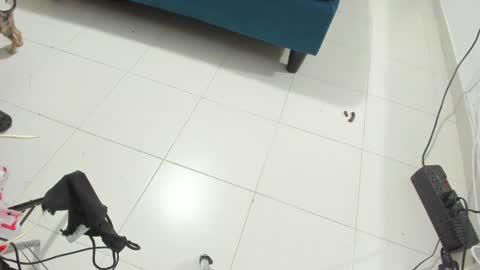 Rihanna hotx online show from November 2025 02:56:02 AM