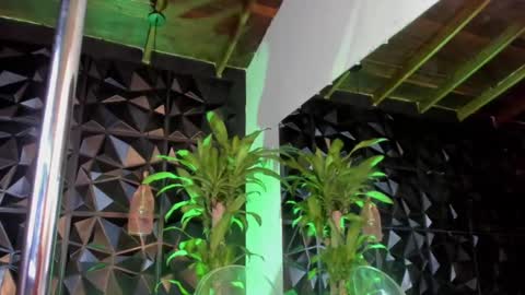 rihanna online show from December 2024 09:50:01 PM