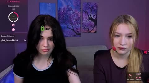 Meow online show from January 2026 08:34:02 PM