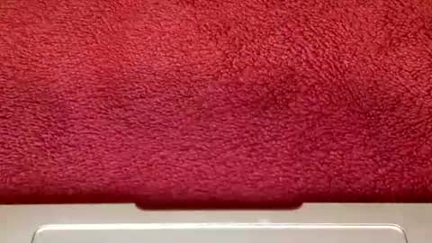 rimalova online show from October 2025 06:32:02 AM