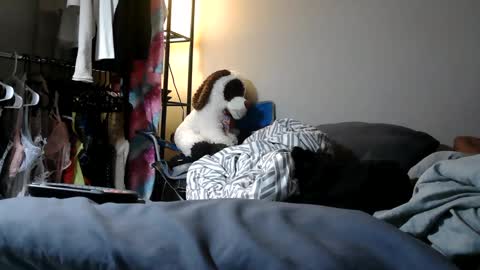 River Saint online show from March 2025 11:04:02 PM