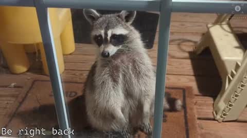 Ryan aka KeylimeRy online show from February 2025 11:36:02 AM