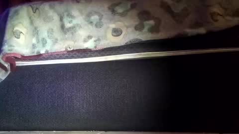 robert227818 online show from November 2025 06:13:01 AM