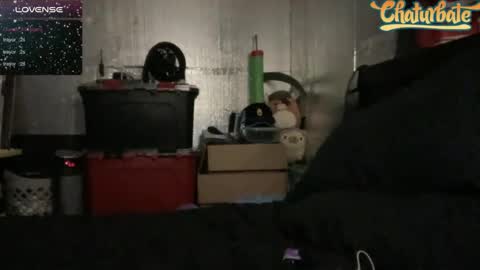 Snapshot of robertcicijr21 chatting on December 2024 03:05:02 AM Robert Cici Jr. online show from December 2024 03:05:02 AM