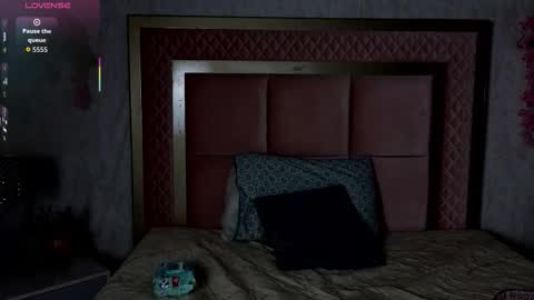 robin D online show from February 2026 12:08:01 PM