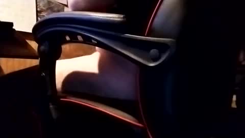 Robo Nuts online show from November 2025 06:35:01 AM